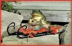 Frog on sledge.webp