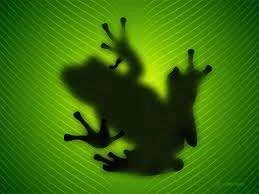 frog shadow.webp