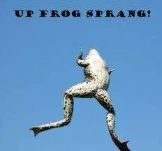 frog sprang.webp