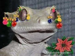 frog.webp