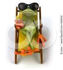 frog with shades.webp