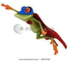 frog1.webp