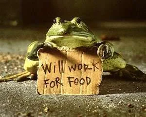 frog2.webp