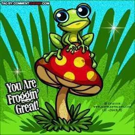 frog4.webp