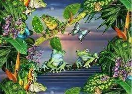 frog4.webp