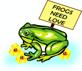 frog8.gif