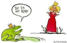 frog9.webp