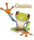 frog_2 copy.webp