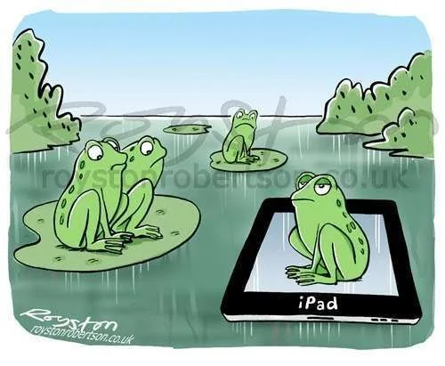frog_ipad_cartoon.webp