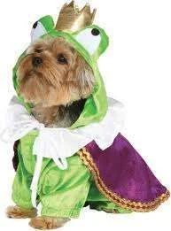 frogdoggie.webp