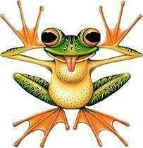 froggie 6.webp