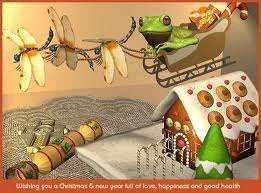 Froggie Christmas.webp