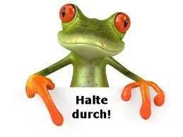 froggie halte durch.webp