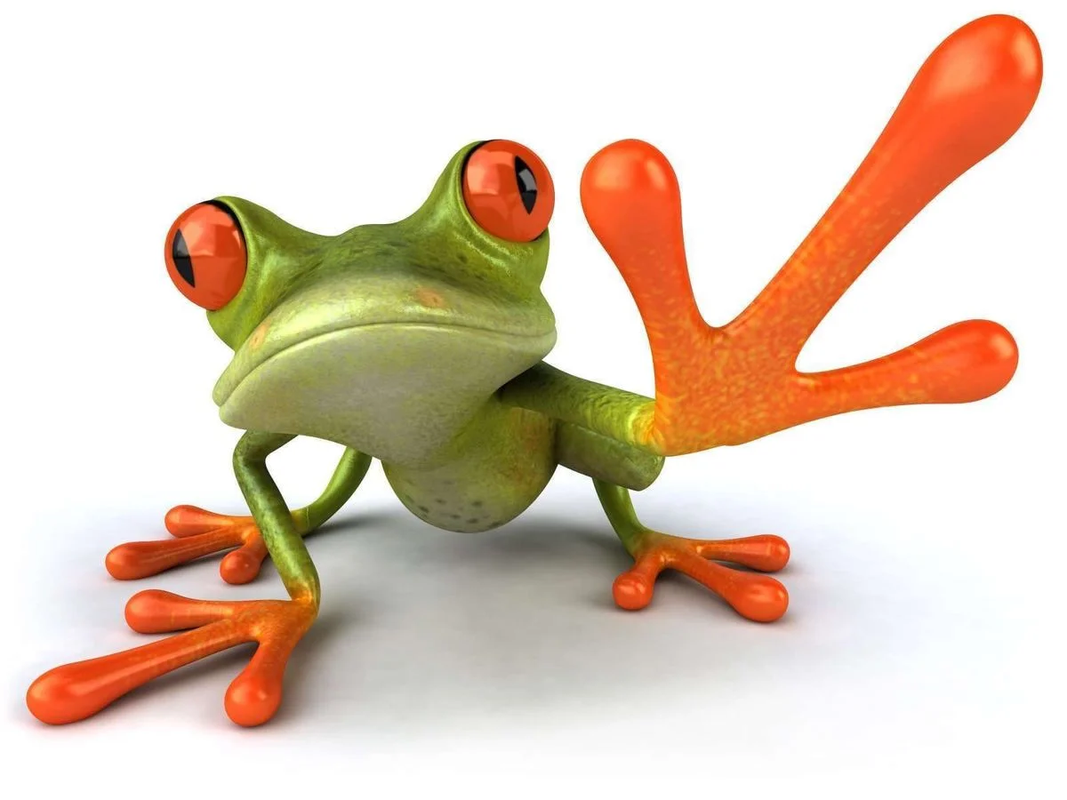 Froggie still here!.webp