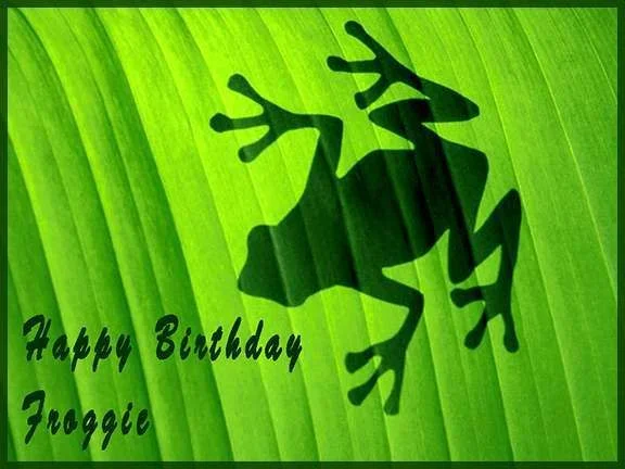 froggie.webp