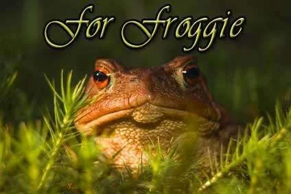 froggie.webp
