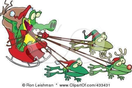froggie.webp