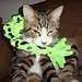 froggiehug.webp