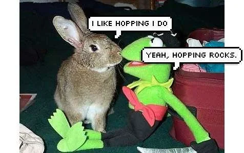 froggyrabbit.webp