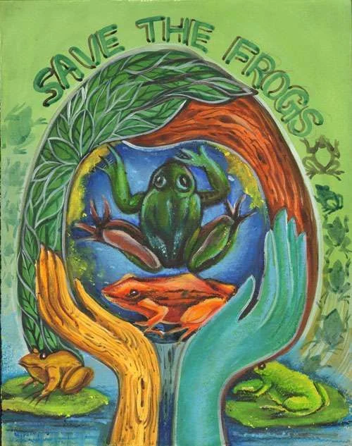 Frogs.webp