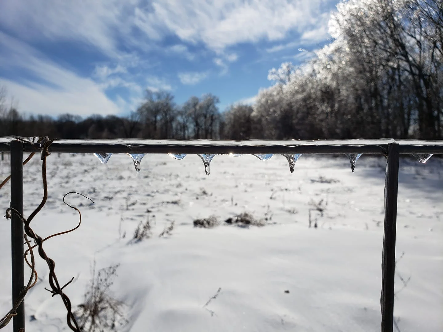 Frozen Raindrops.webp