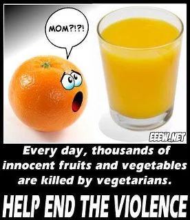 Fruit.webp