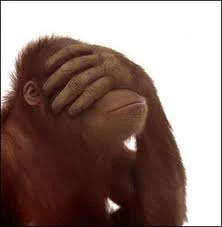 frustrated 4.webp