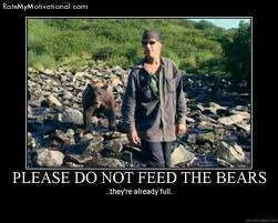 full bears.webp