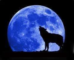 full moon_3.webp