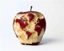 fun food 2.webp
