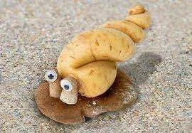 fun food 3.webp