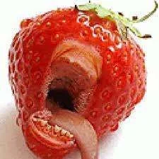 fun food 9.webp