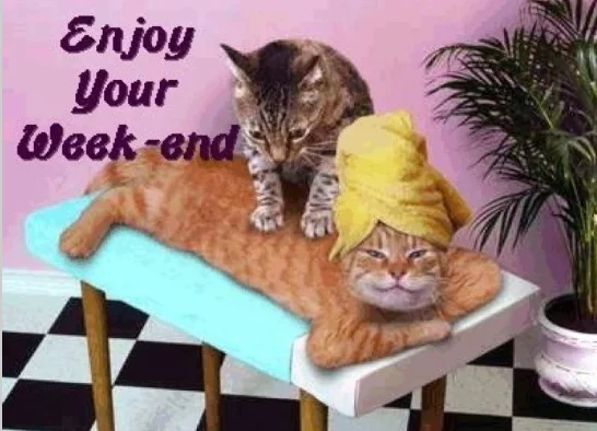 fun quote about 2 kittys giving backrubs and enjoy your weekend.webp
