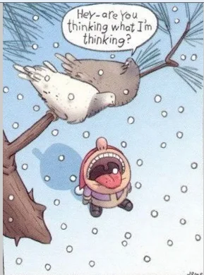 fun quote about 2 pigeons over a mans mouth.webp