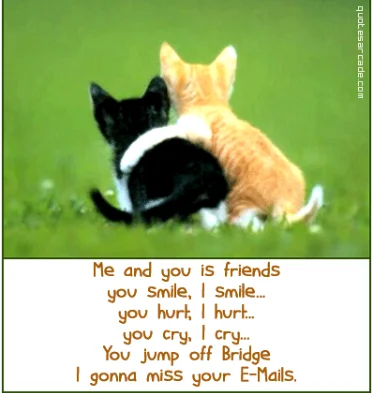 fun quote about friendship and missing e mails if you jump off a bridge.webp