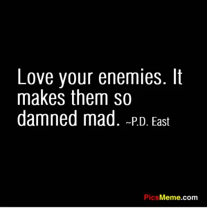 fun quote about loving your enemies.webp