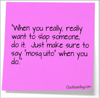 fun quote about slapping someone.webp