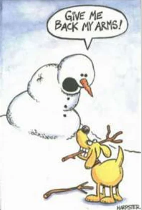 fun snowman with dog having his arms.webp