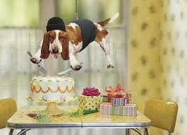 fun_pic.webp
