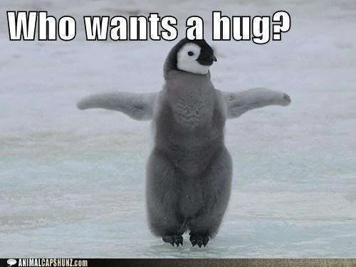 funny-animal-captions-well-if-youre-offering.webp