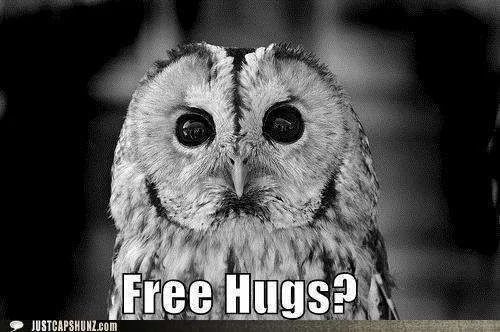 funny-captions-free-hugs.webp