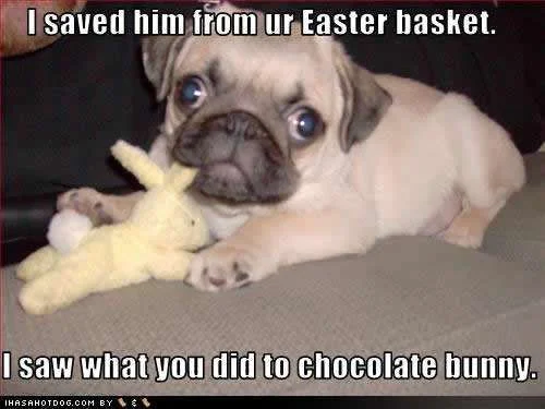 funny-easter-baskets-i6.webp