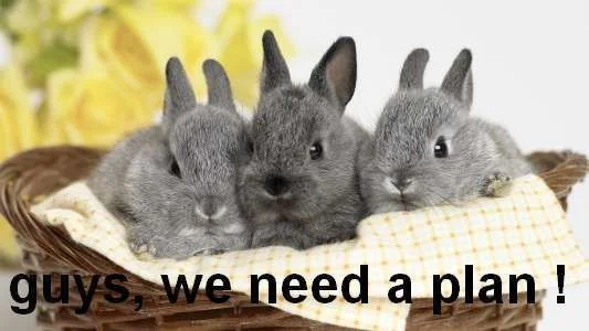 funny-easter-bunnies-basket-picture.webp