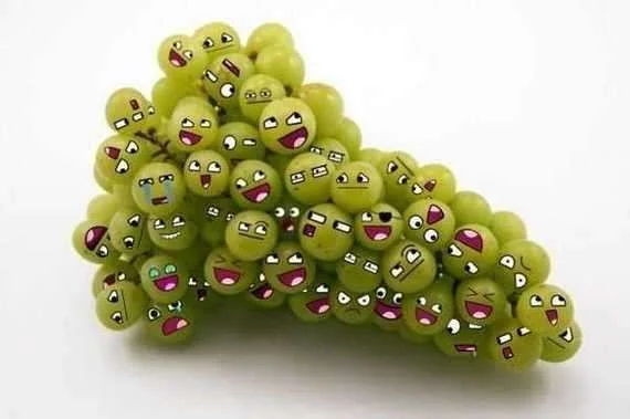 funny-food43.webp