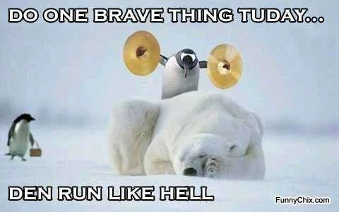 funny-pictures-brave.webp