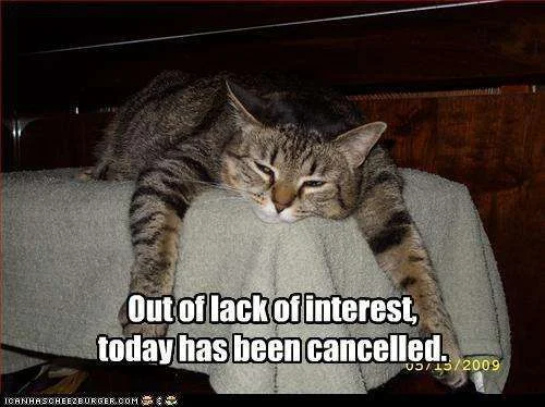 funny-pictures-cat-cancels-today.webp
