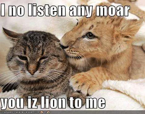 funny-pictures-cat-will-not-listen-to-lion-cub-anymore.webp