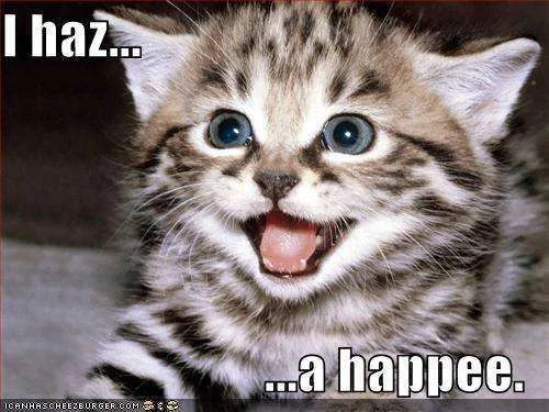 funny-pictures-kitten-has-a-happy.webp