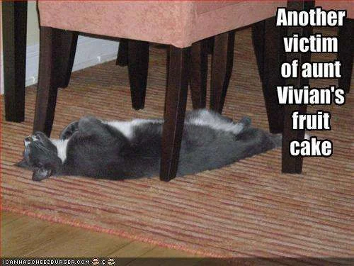 funny-pictures-your-fruitcake-killed-the-cat.webp