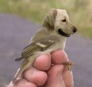 Funny Weird Pictures (38).webp